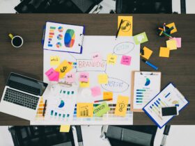 The 4 Personal Brand Stages