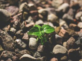 My new post The Power of Next