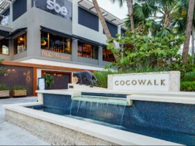 New Miami Restaurant Cotoletta Only Serves One Entree
