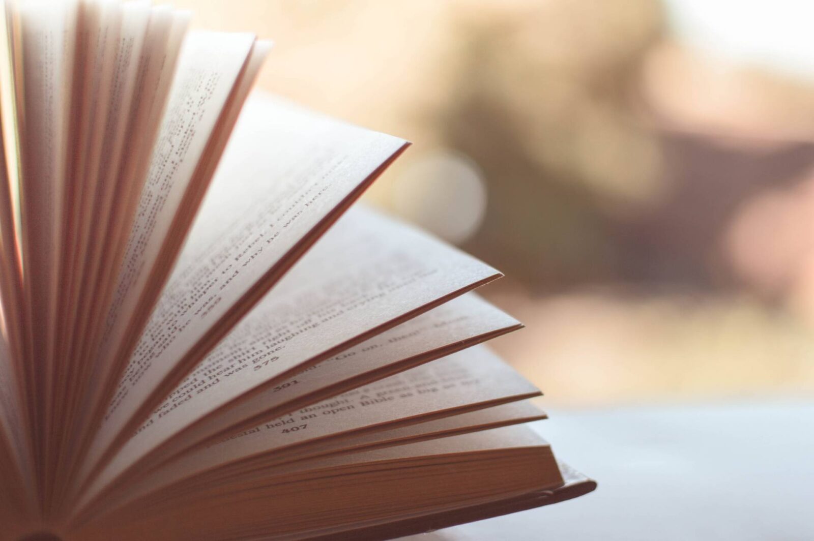 A Book with a Great Author Bio Resonates With Your Brand Followers