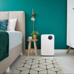 How Smart Air Purifiers Became the New Wellness Essential