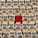 15 Ways to Define What Makes Your Brand Unique