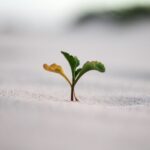 9 Founder Habits That Compound Quietly Until the Results Look “Overnight”