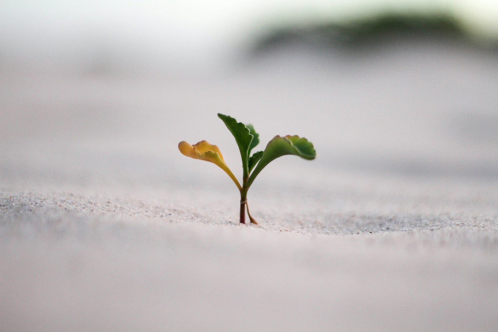9 Founder Habits That Compound Quietly Until the Results Look “Overnight”
