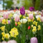 How to Overcome Spring Fatigue