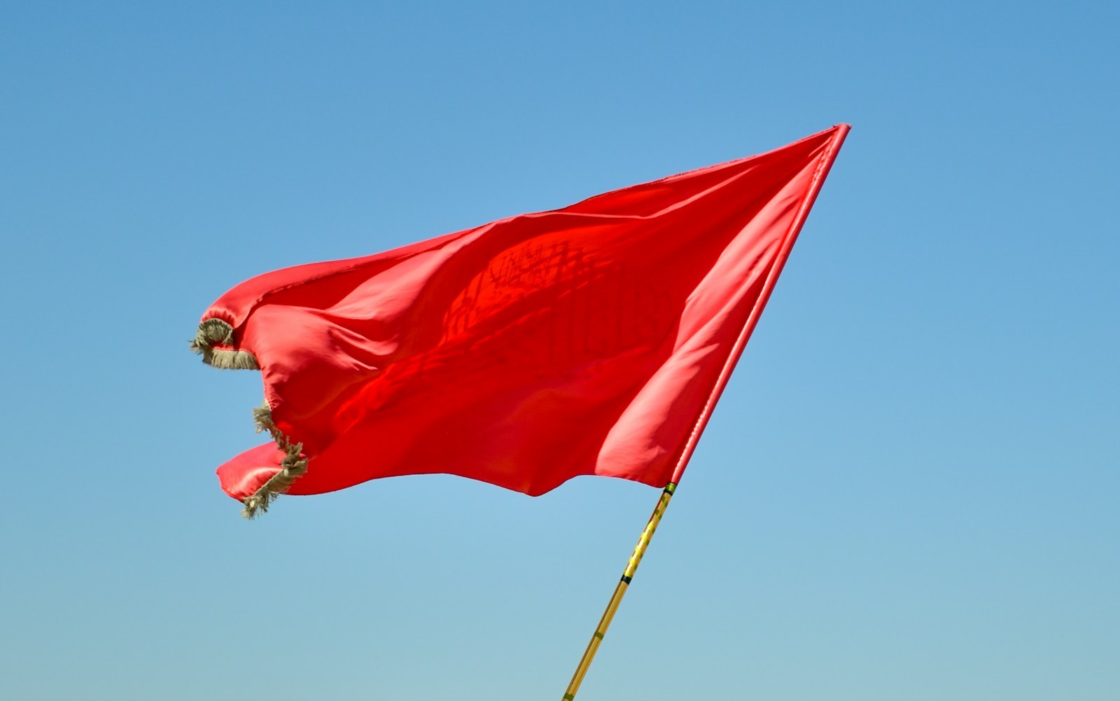 Red Flags in Co-Founder Relationships Most Teams Miss (5 to Watch)