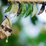 While In-Transition You Still Have a Brand