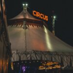 Things we Learned From the Circus