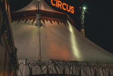 Things we Learned From the Circus