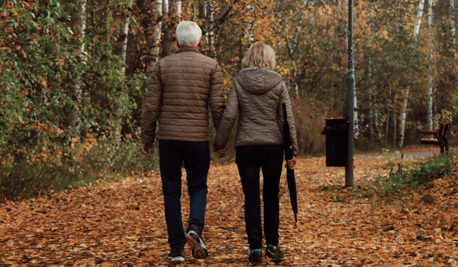 Take advantage of your professional “Autumn”