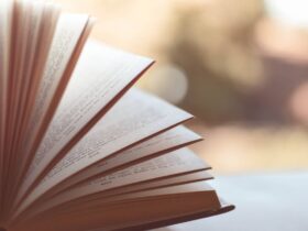 3 Ways Being a Bookworm Translates to Career Success