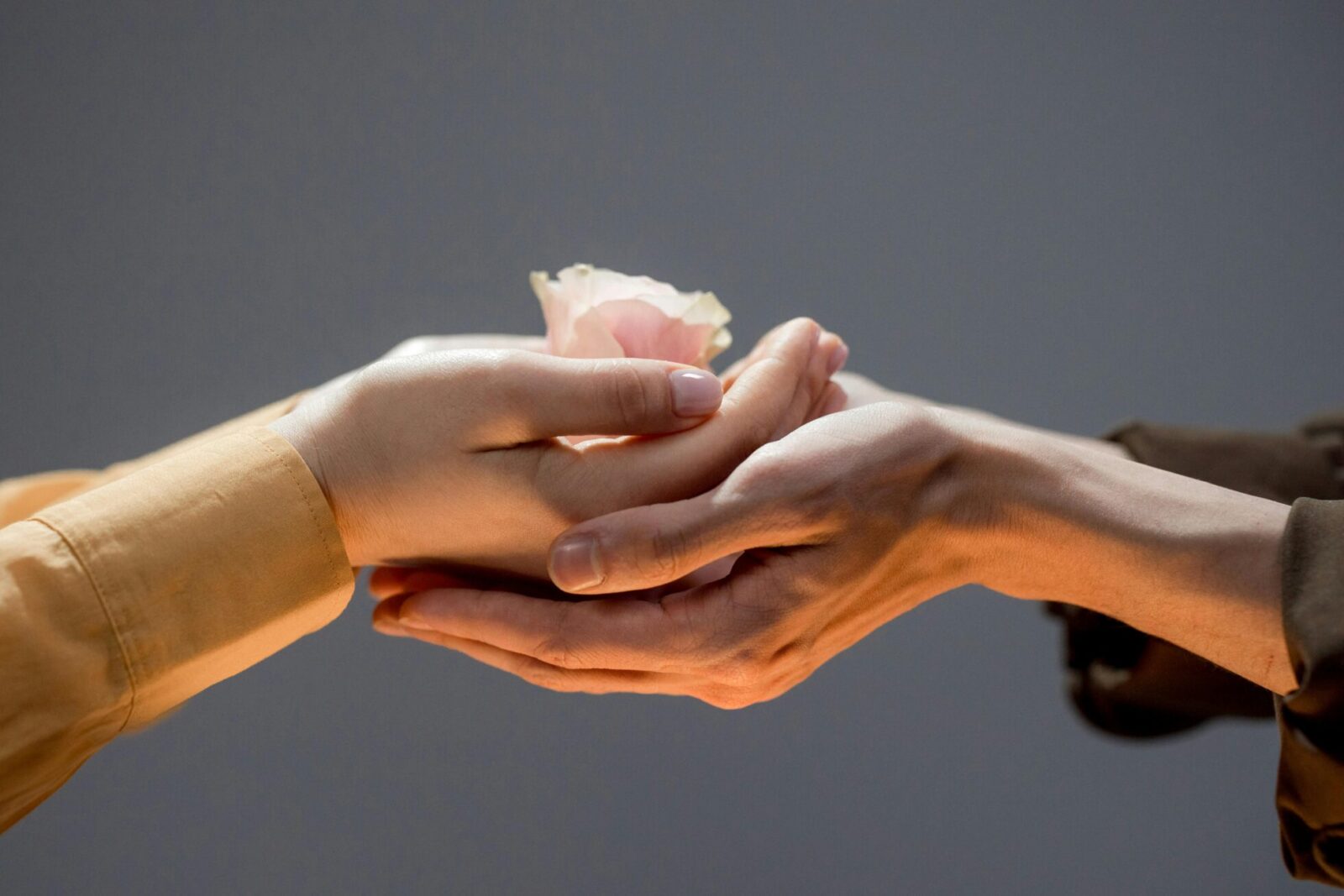 The 8 traits of high-performing professionals