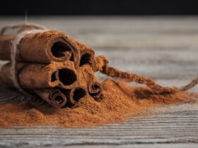 Cinnamon Mania Boosts Cinnabon's Best Growth Year Ever