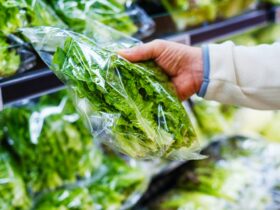 Parasite Outbreak Sends Lettuce Industry Into a PR Crisis