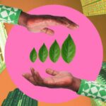 4 Lessons I Learned Building a Sustainable Business From the Ground Up