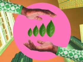 4 Lessons I Learned Building a Sustainable Business From the Ground Up