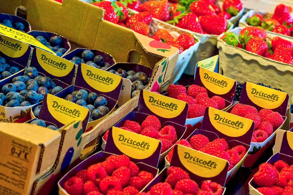 Driscoll's Says China Stole Its Berry Secrets