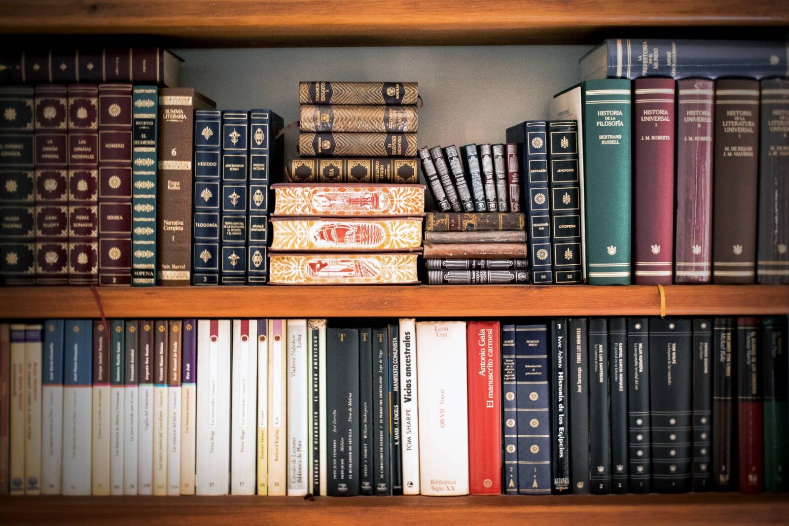 What You Need to Know About Employment Law
