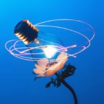 Why Innovation Now Depends on Resilience, Not Just Speed