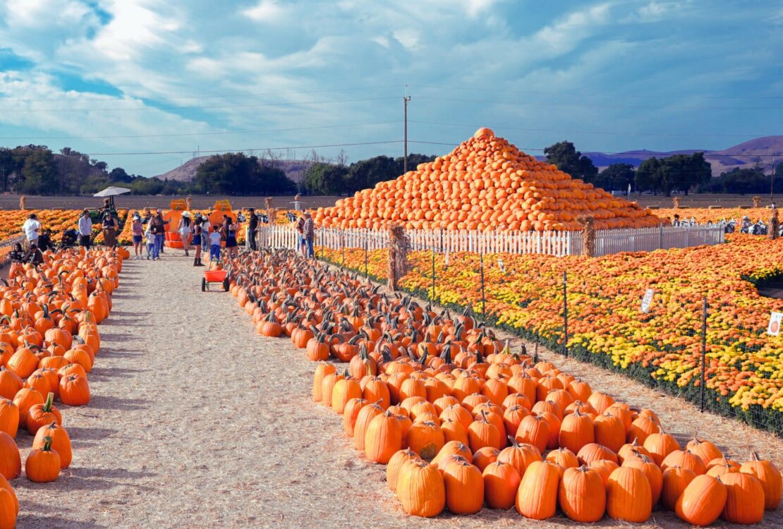 74-Year-Old's Seasonal Business Brings in $2M in Just 7 Weeks