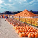 74-Year-Old's Seasonal Business Brings in $2M in Just 7 Weeks