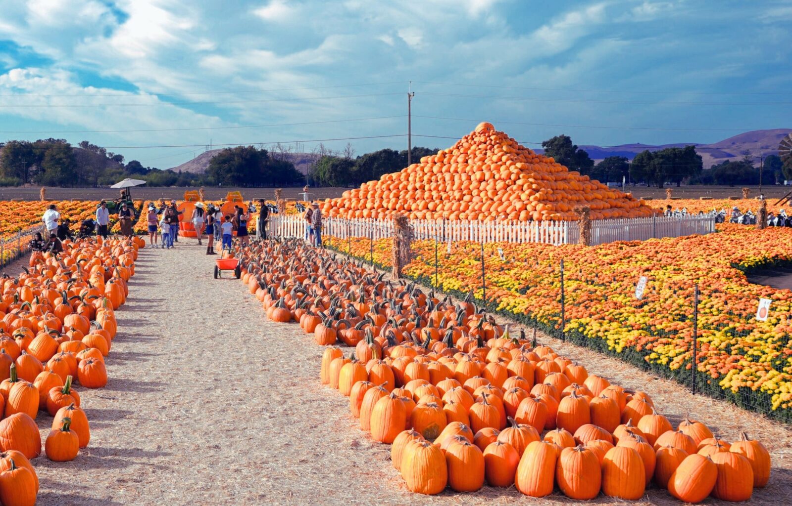74-Year-Old's Seasonal Business Brings in $2M in Just 7 Weeks