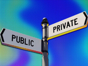 Do Private Companies Have an Advantage Over Public Rivals?