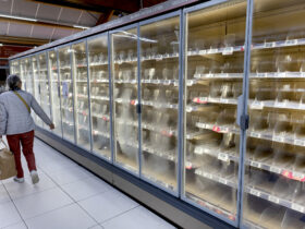 Hackers Just Took Down Freezers at 400 French Supermarkets